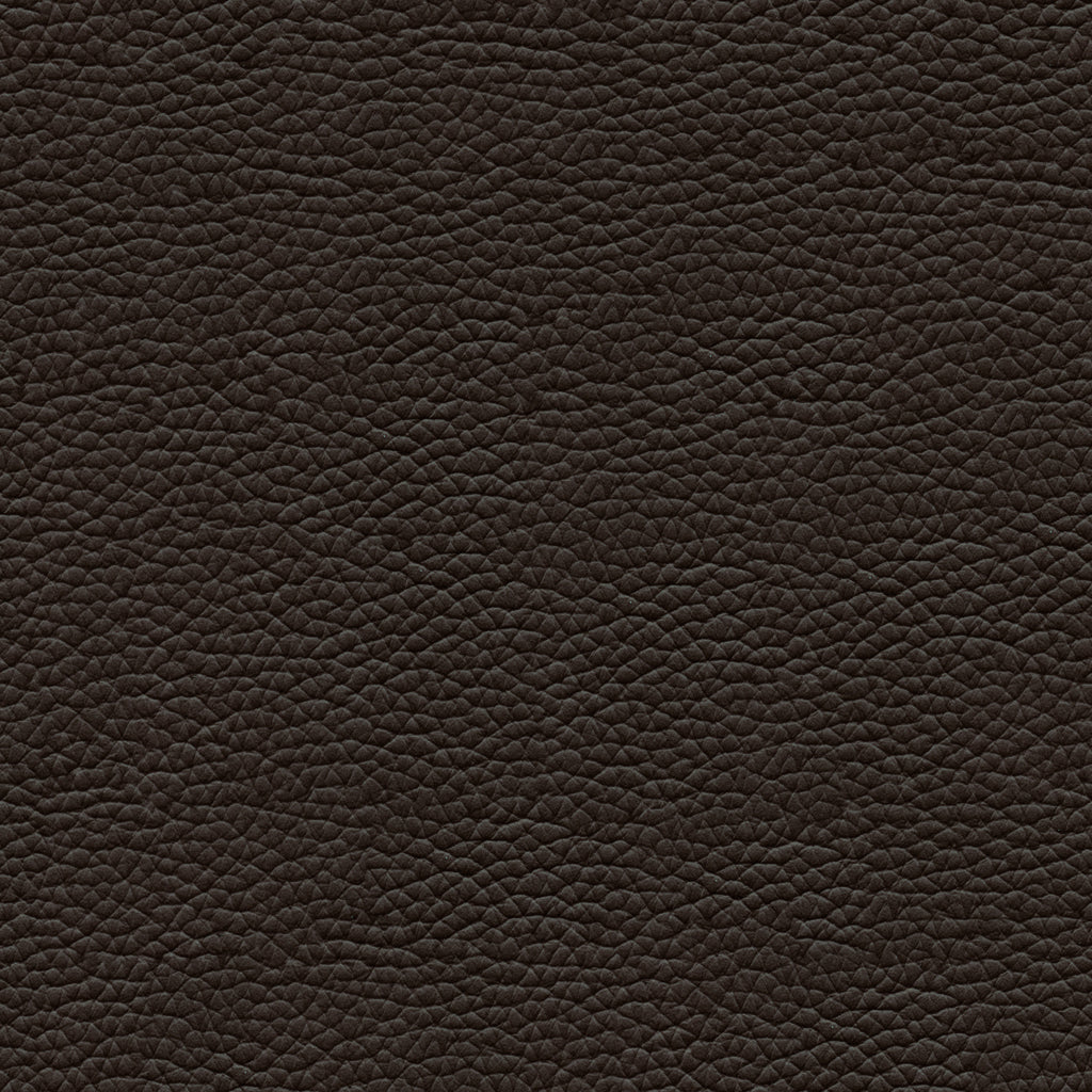 Leather Swatch