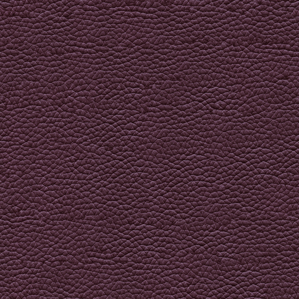 Leather Swatch