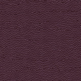 Leather Swatch