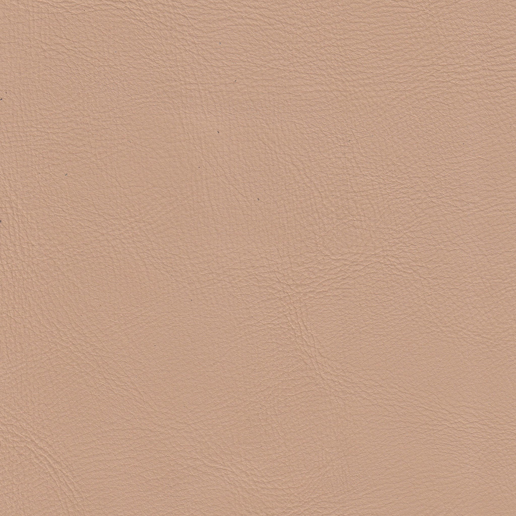 Leather Swatch