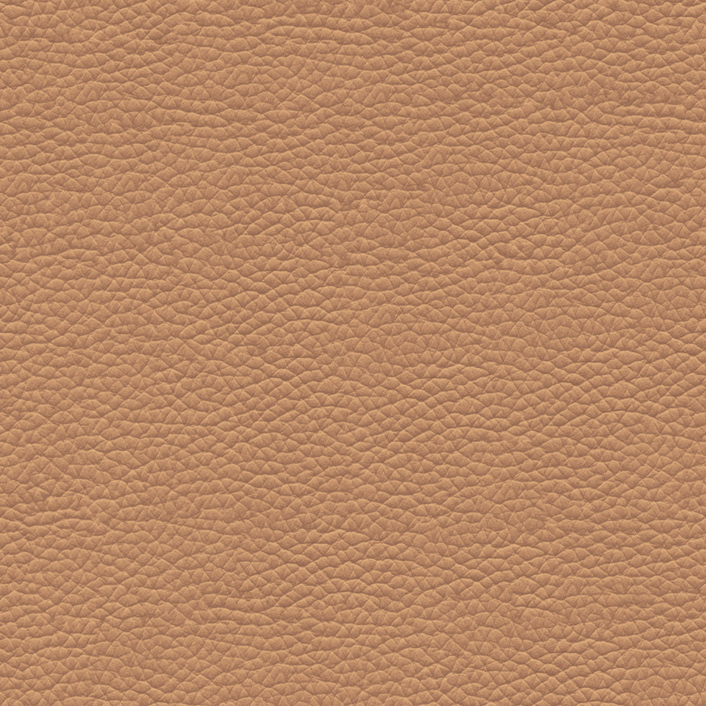 Leather Swatch