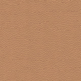 Leather Swatch
