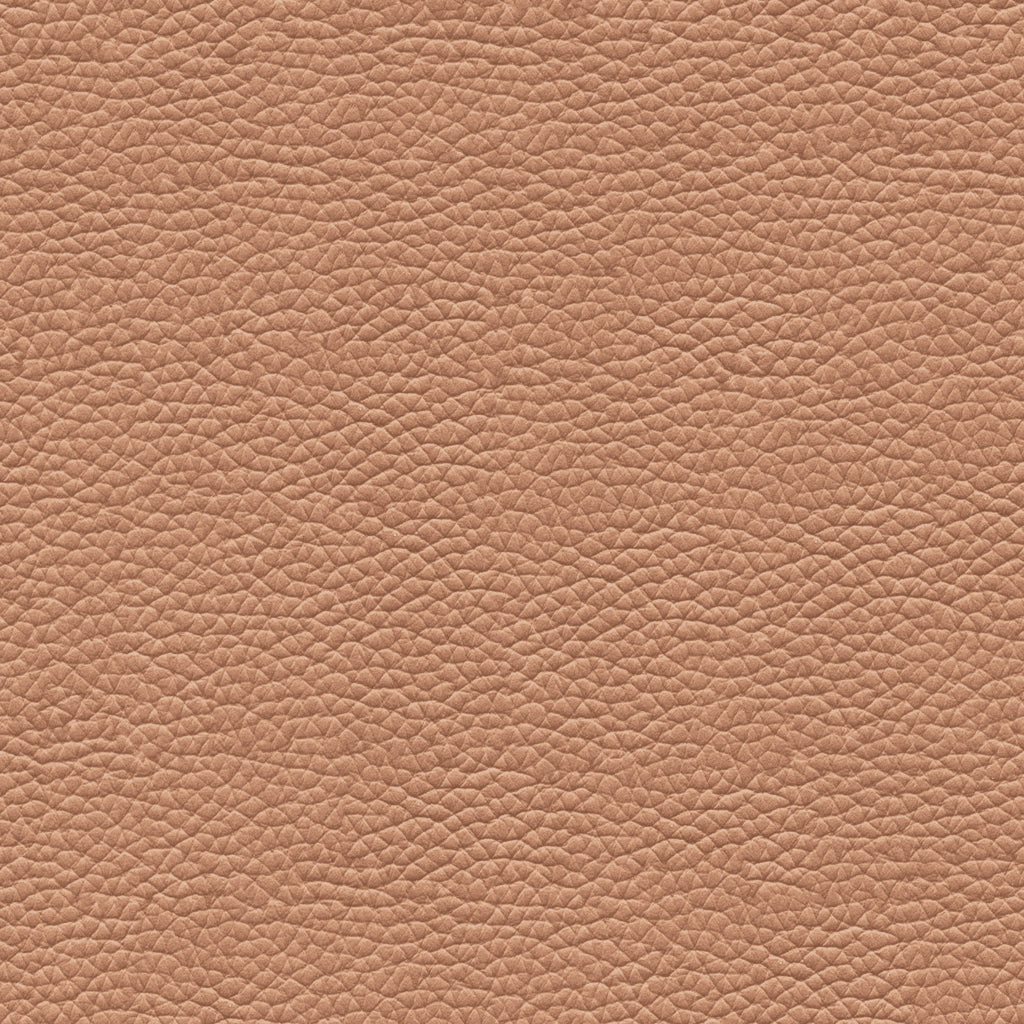 Leather Swatch