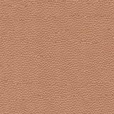 Leather Swatch