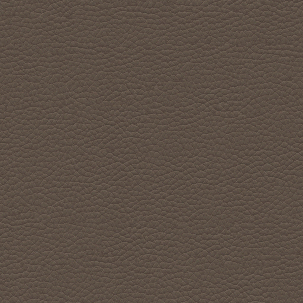 Leather Swatch