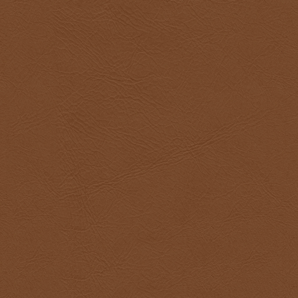 Leather Swatch